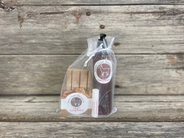 Goat milk essentials gift set ~ soap / lotion / lip balm / soap rack
