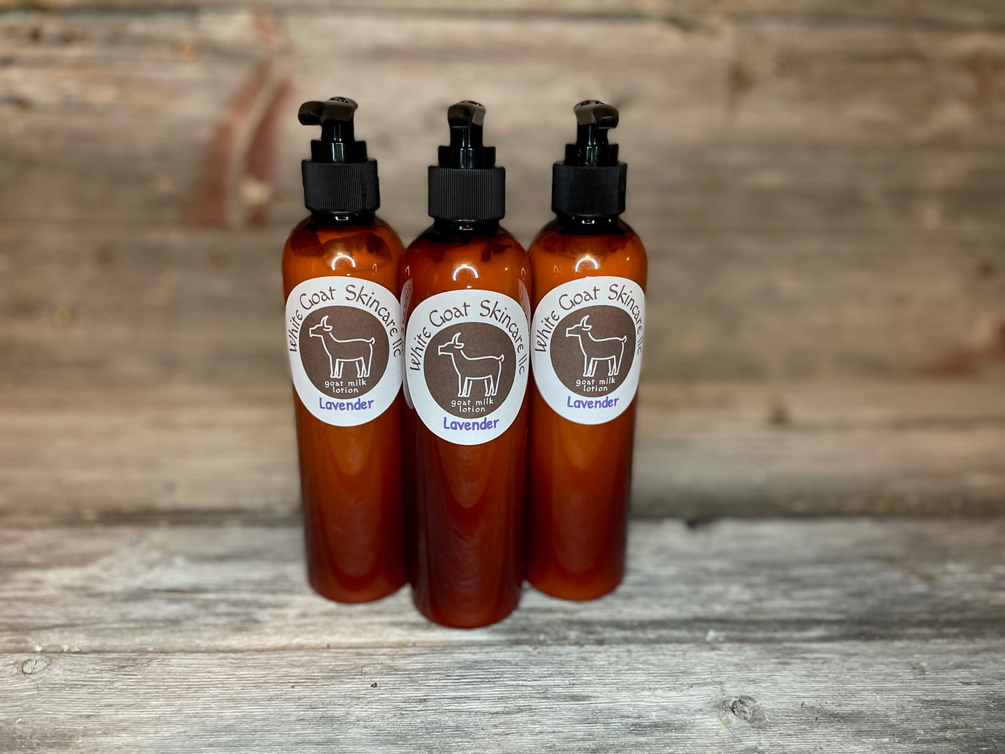 Lavender goat milk lotion