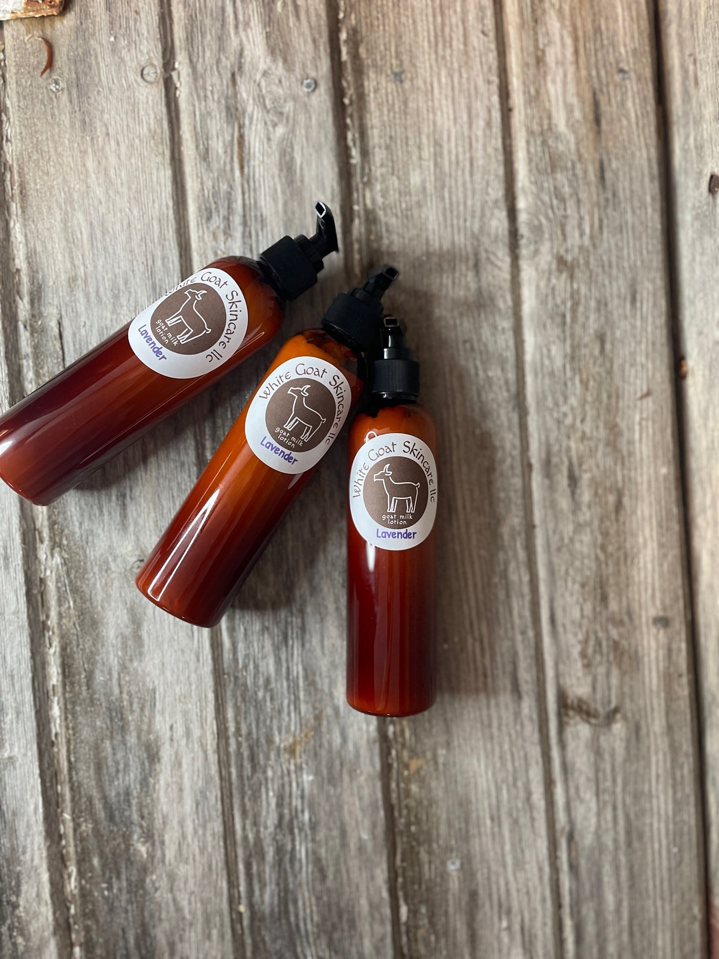 Lavender goat milk lotion